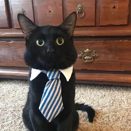 Петров Александр