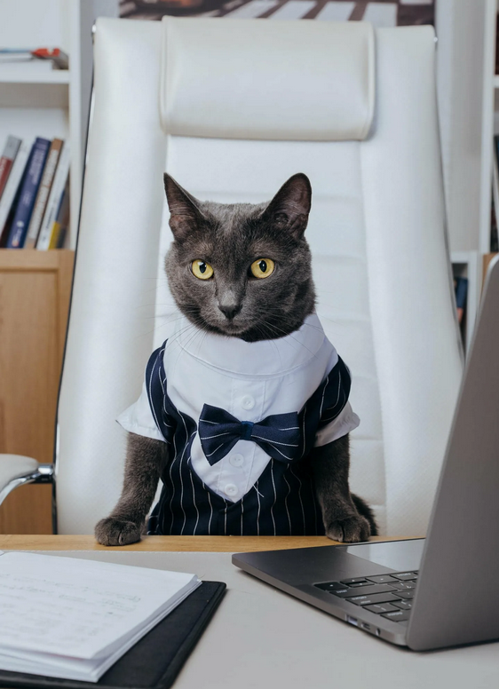 Волков Андрей